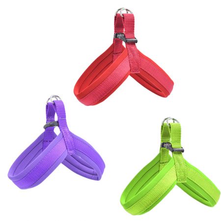 Đai chó dễ dàng tháo ra.