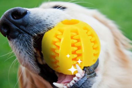 Penghilang Rasa Sakit Gigi Superior dengan Bola Pembersih Gigi