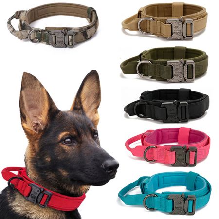 Wholesale Military Dog Collar.