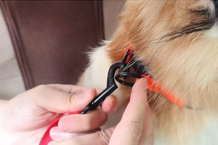 Two-Style Dog Car Leash Seat Belt Set