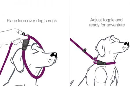 حبل قيادة الكلاب النهائي بدون سحب: الراحة والتحكم والسلامة في واحدة