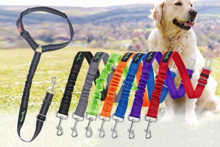 Qualité abordable et couleurs vibrantes disponibles de notre ceinture de sécurité pour chien en stock