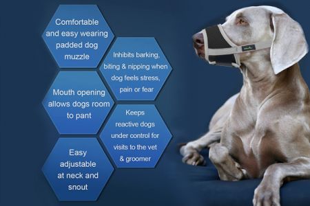 Aplicaciones versátiles de bozales para perros de ganado