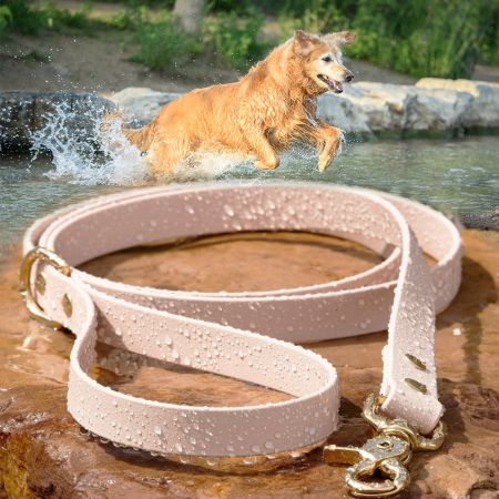Waterproof Reflective Dog Leash.
