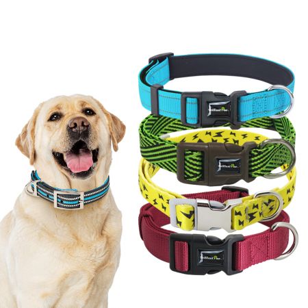 Wholesale Nylon Dog Collar - Nylon Dog Collars Wholesale