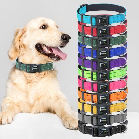 Collar de perro de nylon ajustable personalizado.