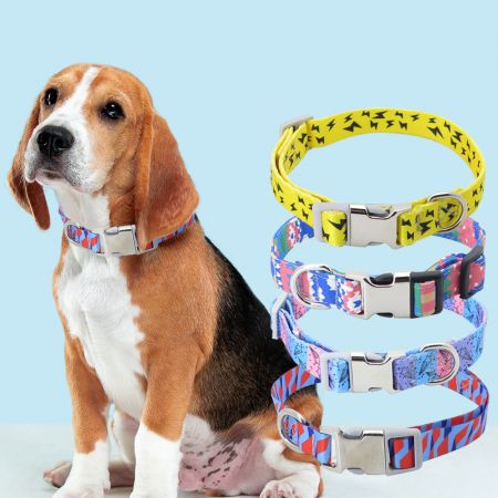 Großhandelslieferant für Nylon-Hundehalsbänder.