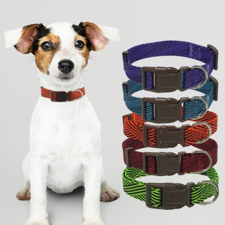 Großbestellung für individuelle Nylon-Hundehalsbänder.