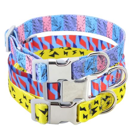 Personalized Dog Collars.