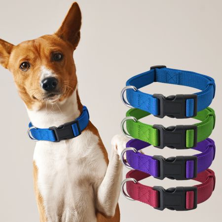 Non-Fray Webbing Dog Collar.