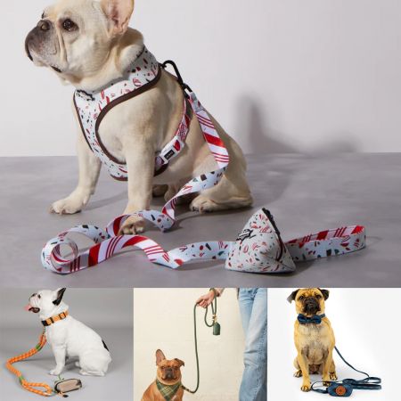 2-in-1ウンチ袋付く犬リード - オープンエンドハンドル付く犬リード。