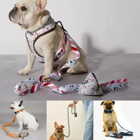 Laisse pour chien 2 en 1 en gros avec distributeur de sacs à déjections. - Laisse pour chien en gros avec poignée ouverte.