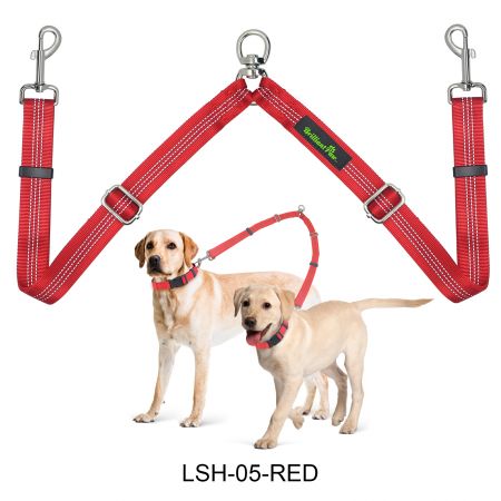 Guinzagli doppi per 2 cani.