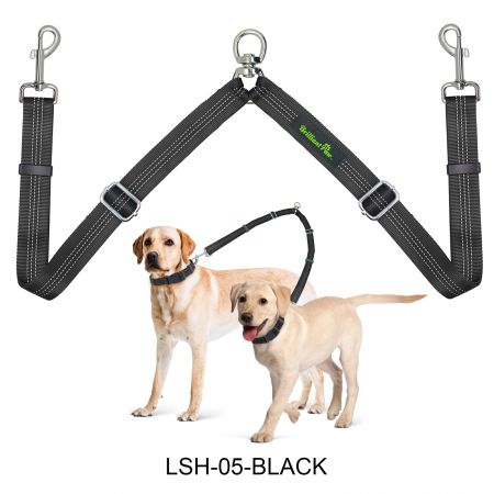 Doppia clip per 2 cani.