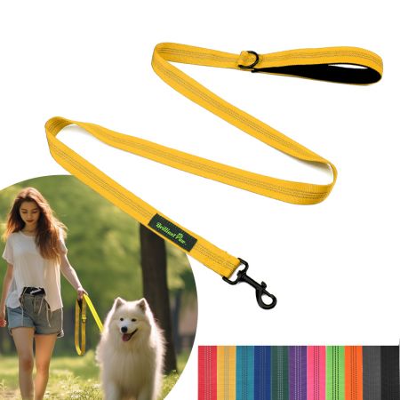 Nylon Dog Leash 5Ft In Stock - Wholesale Nylon Dog Leash