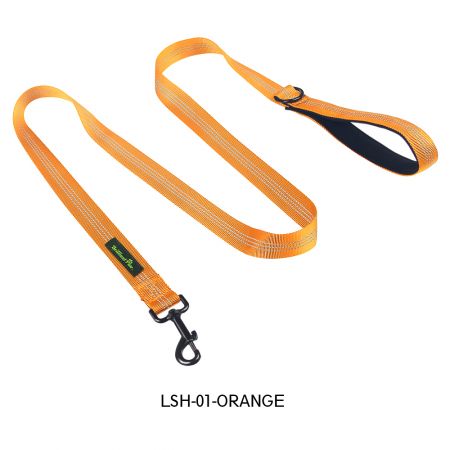 حبل تمشية برتقالي للجراء.