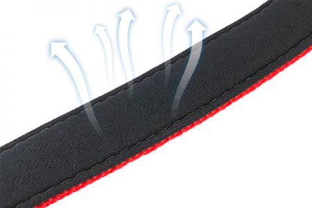 Extra Comfort Brought By Different Paddings for Padded Dog Collars