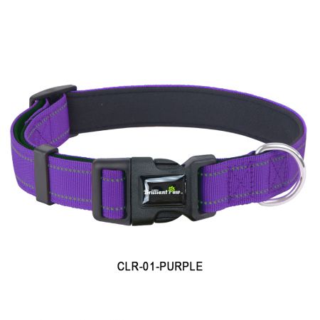 Personalized Purple Dog Collars.