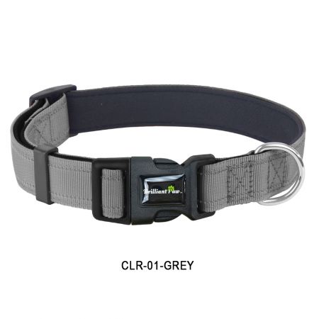 Venda de Coleira Cinza.