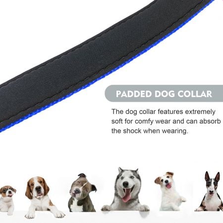Bulk Reflective Dog Collars Sale.