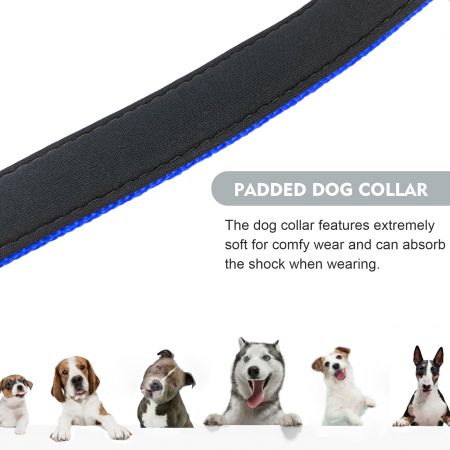 Venda de Colares de Cão Refletivos em Grande Quantidade.