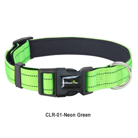 Neon Green Dog Collar For Large Dog.