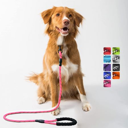 Coleira resistente de corda para cães de 5 pés em estoque - Coleira com Alça Acolchoada por Atacado