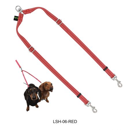 مقسم ليش كلب مزدوج أزرق.