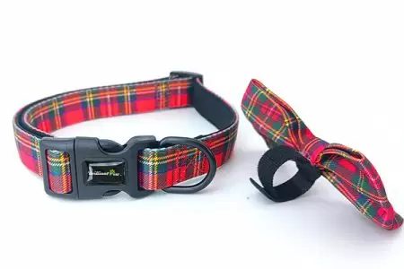 Comfortable Control: Adjustable Dog Collar with Removable Bowtie