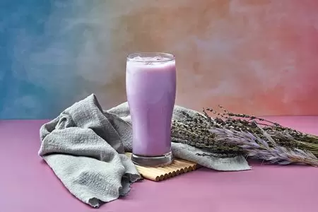 bebidas de lavanda (Lavandula) com flores de cor roxa.