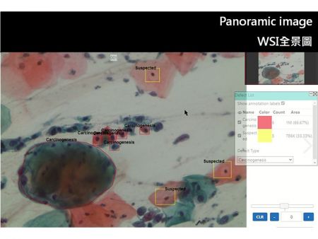 Image panoramique WSI. L'image panoramique WSI peut être tournée et zoomée pour inspection.