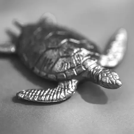 เครื่องประดับเงินสัตว์ในมหาสมุทร