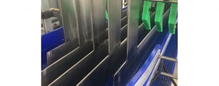 Bottle infeed mechanic.