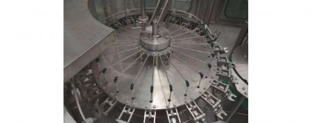 Rinser part of Condiments Filling Machine