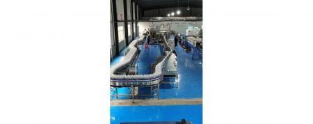 Pasteurization Tunnel