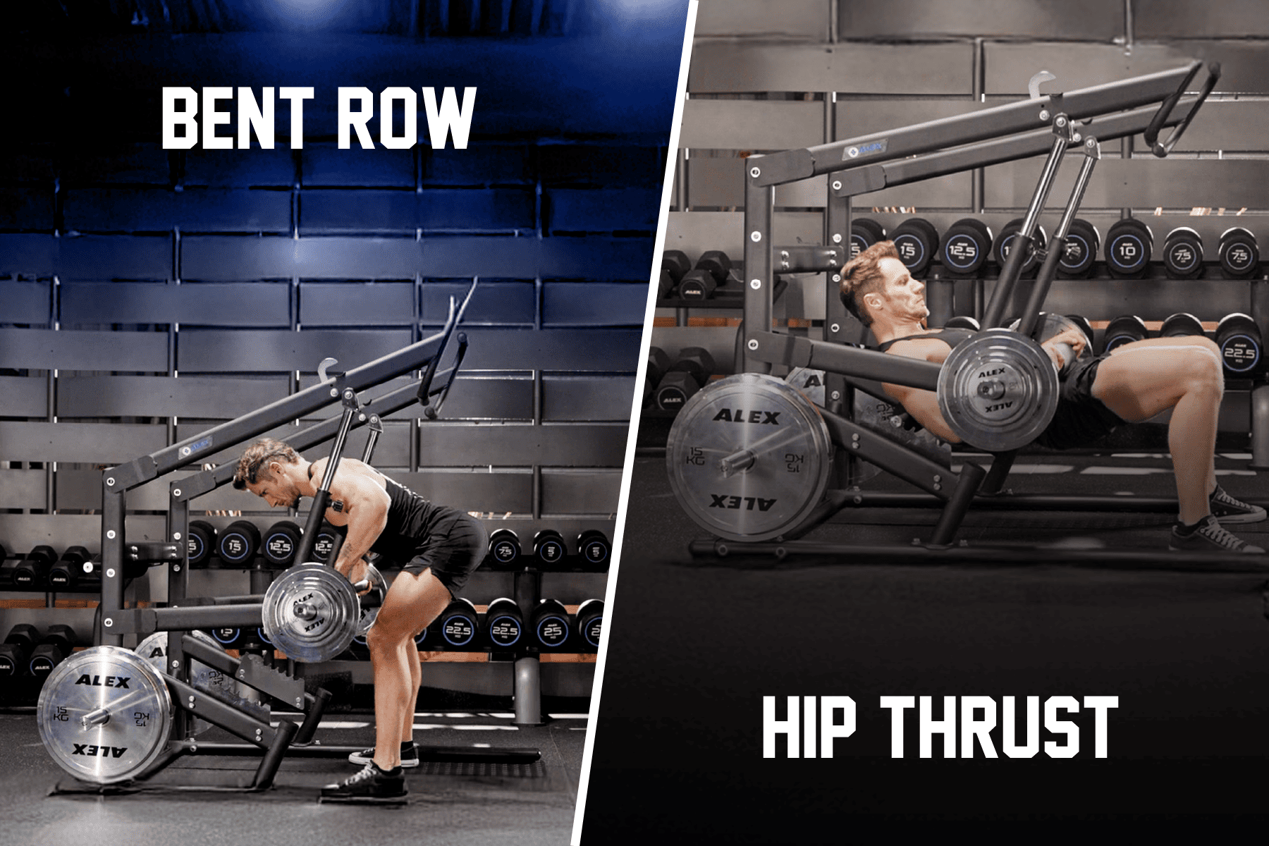 ➤Được xây dựng cho mục đích cụ thể. Được các chuyên gia tin dùng