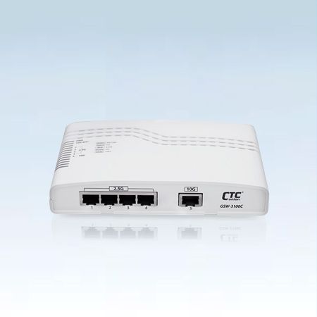 10G CPE Switch(GSW-3100C)