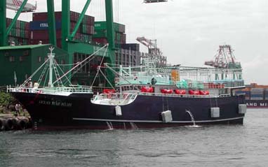Αλιευτικό σκάφος καλαμαριών 290GT