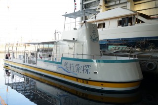 قارب ركاب تحت الماء للمشاهدة بسعة 19 طنًا من الألياف الزجاجية