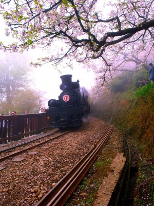 Chiayi Alishan mountain railway.
