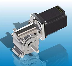 Motore DC Con Riduttore A Vite Senza Fine 5840-31ZY - Forza Autobloccante 30NM
