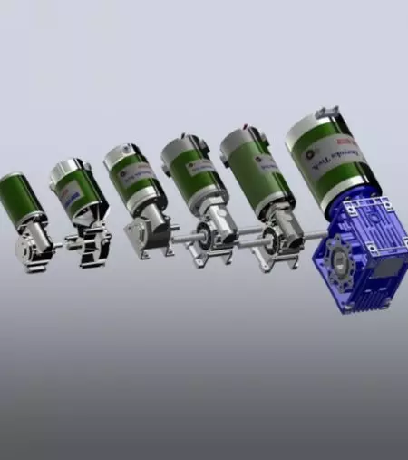 Worm Gear Motor