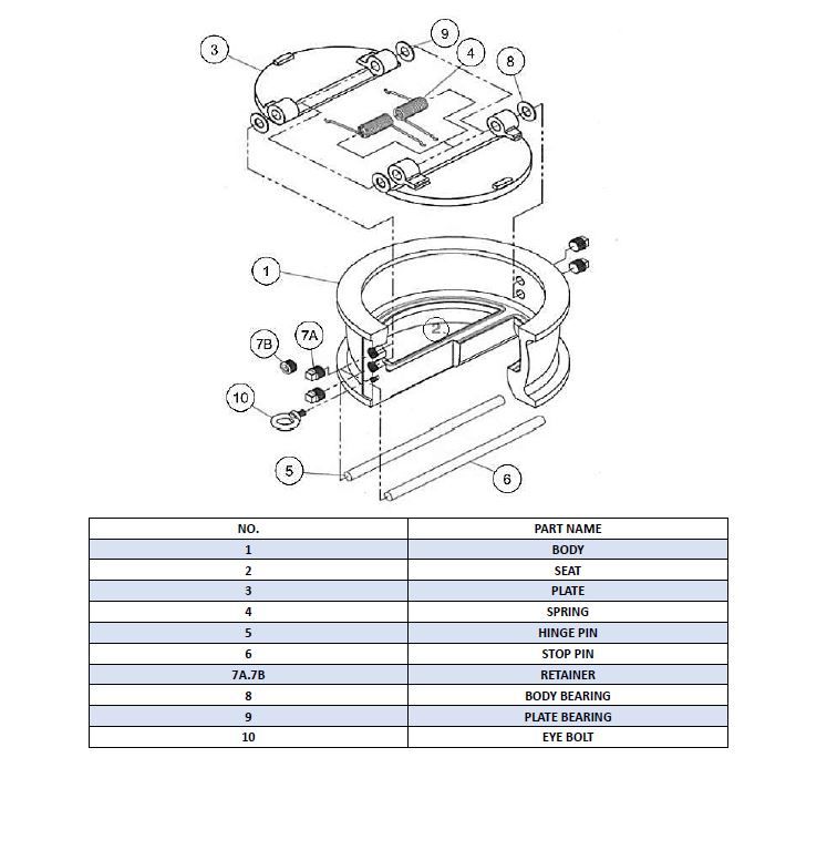 Double plate check valve assembly