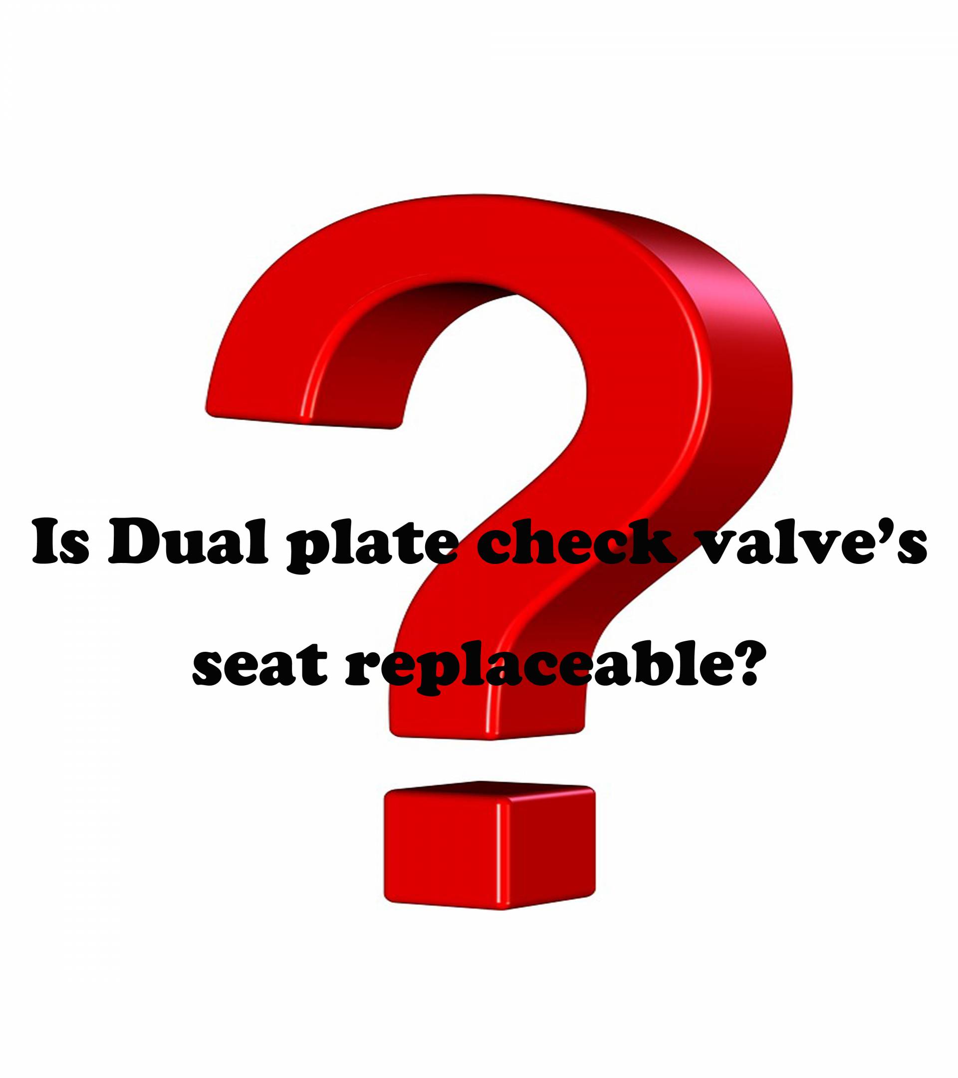 Is Dual plate check valve’s seat replaceable?