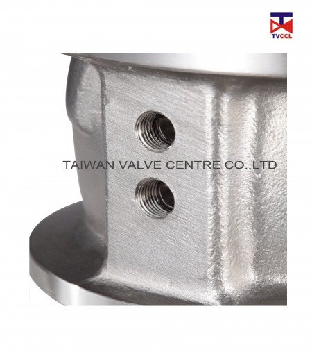 duo plate check valve