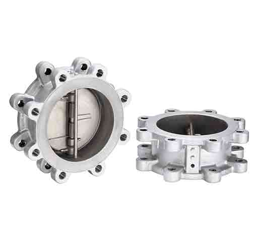 Dual Plate Lug Type Check Valve