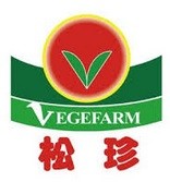 Songzhen