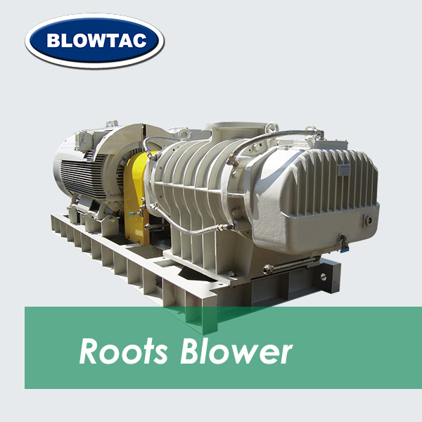 BLOWTAC جذور المنفاخات