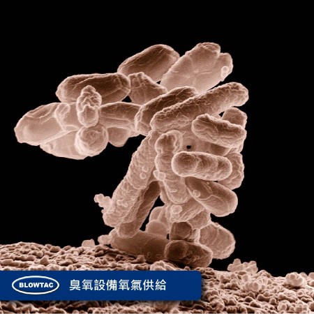 オゾン設備の酸素供給