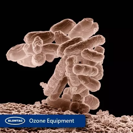 Approvisionnement en air d'équipement à l'ozone.